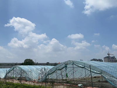 恩拓博高速增氧機(jī)上海使用案例！
